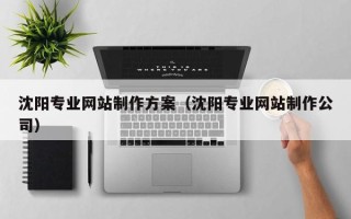 黑河沈阳专业网站制作方案（沈阳专业网站制作公司）
